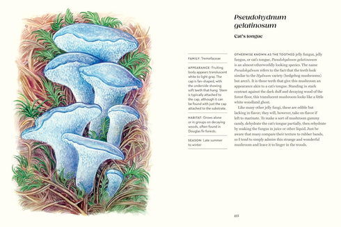 FIELD NOTES FROM A FUNGI FORAGER - RODRIGUEZ. ASHLEY; ENGLAND. LIBBY