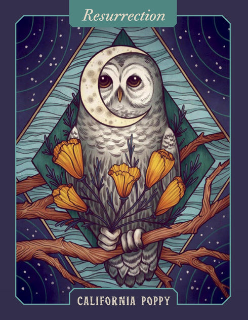 THE ILLUSTRATED HERBIARY ORACLE CARDS - TOLL. MAIA