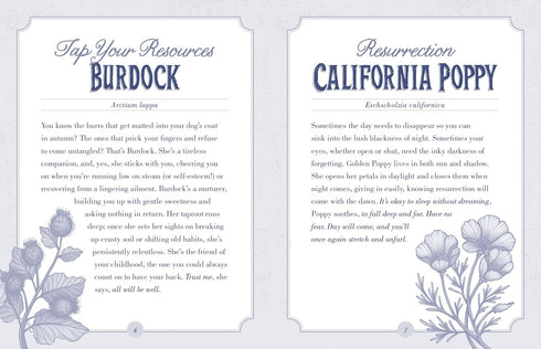 THE ILLUSTRATED HERBIARY ORACLE CARDS - TOLL. MAIA