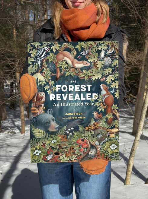 THE FOREST REVEALED: AN ILLUSTRATED YEAR - FITCH. JADA; KOSEK. KATERI