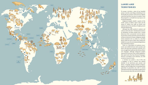 ORIGIN - CARDOZO. NAT