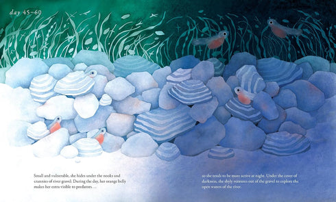 SALMON RUN: AN EPIC JOURNEY TO THE OCEAN AND BACK - CHEN. ANNIE