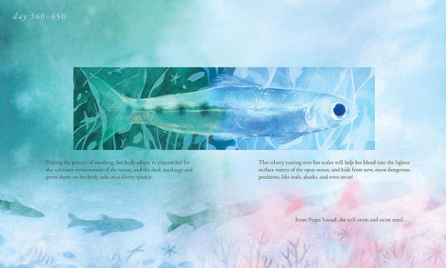 SALMON RUN: AN EPIC JOURNEY TO THE OCEAN AND BACK - CHEN. ANNIE