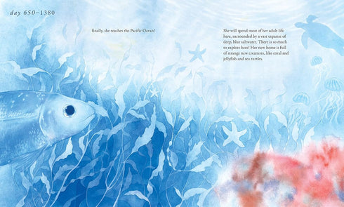 SALMON RUN: AN EPIC JOURNEY TO THE OCEAN AND BACK - CHEN. ANNIE