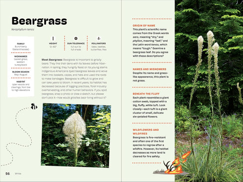 WILDFLOWERS OF THE PACIFIC NORTHWEST FOR KIDS - ERDELY. ASHLEY