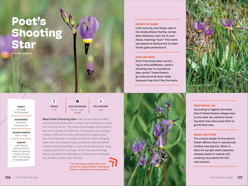 WILDFLOWERS OF THE PACIFIC NORTHWEST FOR KIDS - ERDELY. ASHLEY