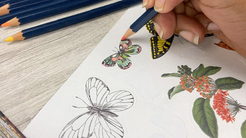 STICKER EMPORIUM: WOODLANDIA - PARRAGON BOOKS