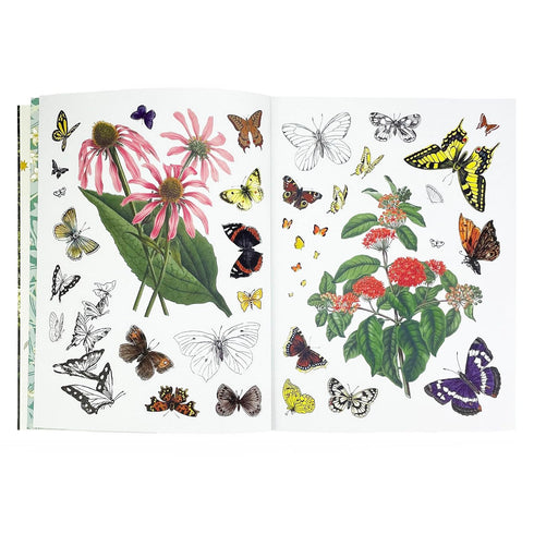 STICKER EMPORIUM: WOODLANDIA - PARRAGON BOOKS