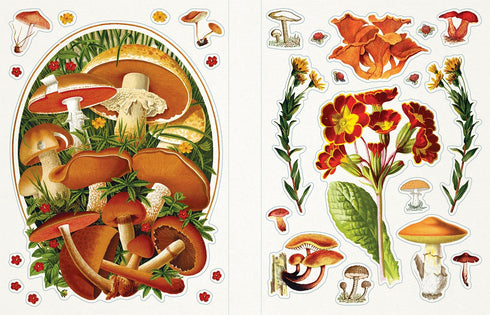 STICKER EMPORIUM: WOODLANDIA - PARRAGON BOOKS