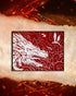 Dragon Cursed by Kova. Elise