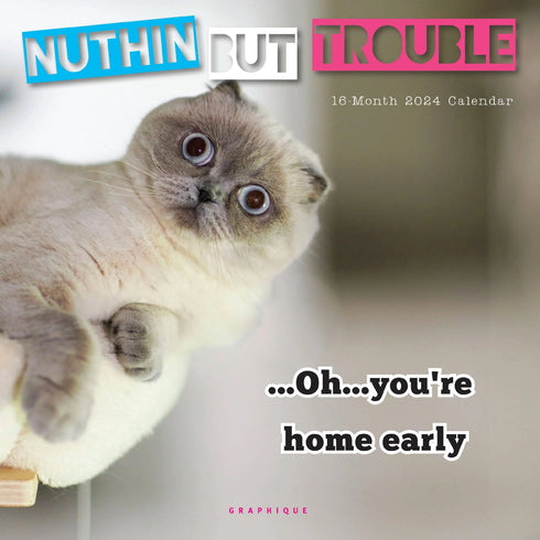 2024 NUTHIN BUT TROUBLE MINI - GRAPHIQUE