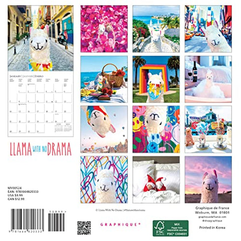 2024 LLAMA WITH NO DRAMA MINI - GRAPHIQUE