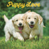 2024 PUPPY LOVE WALL CALENDAR - GRAPHIQUE