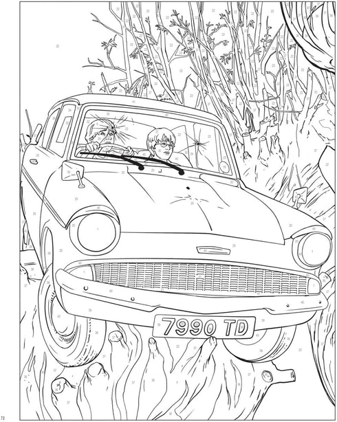 HARRY POTTER COLOR-BY-NUMBER