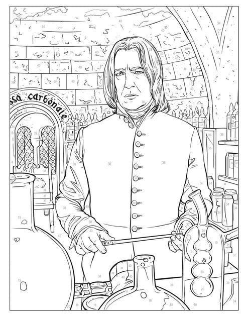 HARRY POTTER COLOR-BY-NUMBER