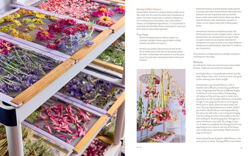 PRESERVING THE SEASONS - CAPELLE. HOLLY