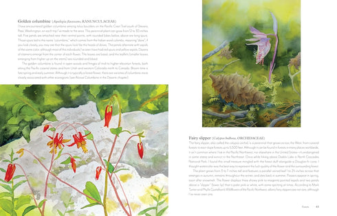 WILDFLOWERS OF THE WEST: AN ARTIST'S GUIDE - HASHIMOTO. MOLLY