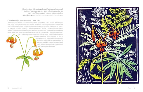 WILDFLOWERS OF THE WEST: AN ARTIST'S GUIDE - HASHIMOTO. MOLLY