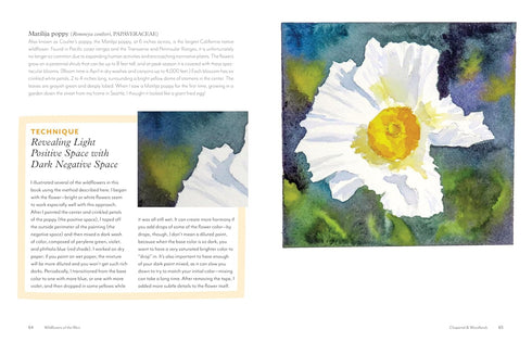 WILDFLOWERS OF THE WEST: AN ARTIST'S GUIDE - HASHIMOTO. MOLLY