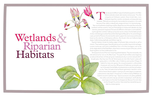 WILDFLOWERS OF THE WEST: AN ARTIST'S GUIDE - HASHIMOTO. MOLLY