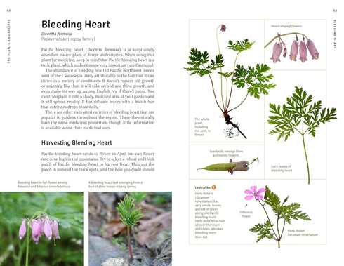 MEDICINAL PLANTS OF THE PNW: A VISUAL GUIDE TO HARVESTING & HEALING - HAMMERQUIS