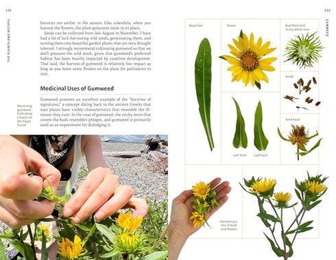 MEDICINAL PLANTS OF THE PNW: A VISUAL GUIDE TO HARVESTING & HEALING - HAMMERQUIS