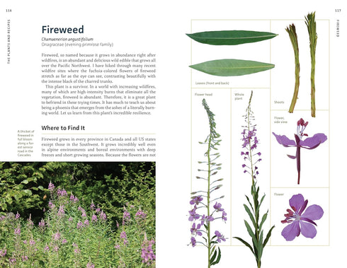 EDIBLE PLANTS OF THE PACIFIC NORTHWEST: A VISUAL GUIDE TO - HAMMERQUIST. NATALIE