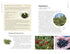 EDIBLE PLANTS OF THE PACIFIC NORTHWEST: A VISUAL GUIDE TO - HAMMERQUIST. NATALIE