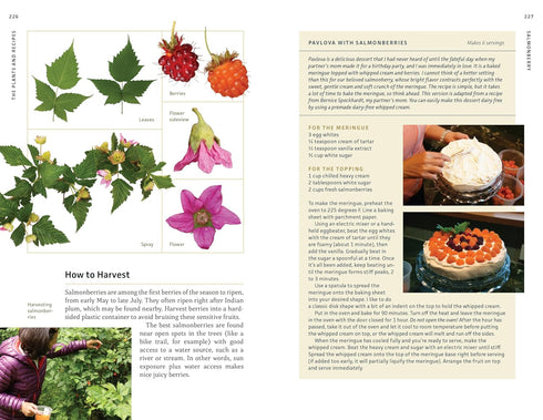 EDIBLE PLANTS OF THE PACIFIC NORTHWEST: A VISUAL GUIDE TO - HAMMERQUIST. NATALIE