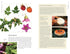 EDIBLE PLANTS OF THE PACIFIC NORTHWEST: A VISUAL GUIDE TO - HAMMERQUIST. NATALIE