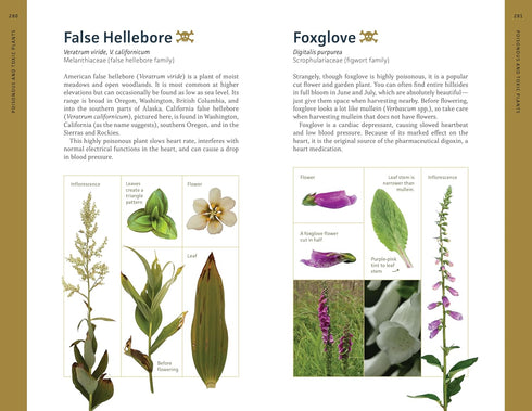 EDIBLE PLANTS OF THE PACIFIC NORTHWEST: A VISUAL GUIDE TO - HAMMERQUIST. NATALIE