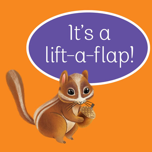 POP-UP SURPRISE AUTUMN IN THE FOREST - FINCH. RUSTY; LONGHI. KATYA