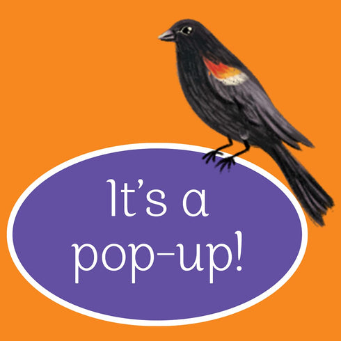 POP-UP SURPRISE AUTUMN IN THE FOREST - FINCH. RUSTY; LONGHI. KATYA