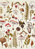 MUSHROOMS 1000 PIECE JIGSAW PUZZLE - WILLOW CREEK PRESS