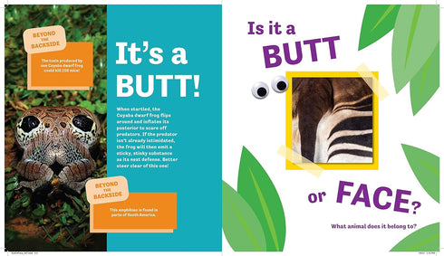 BUTT OR FACE? - LAVELLE. KARI