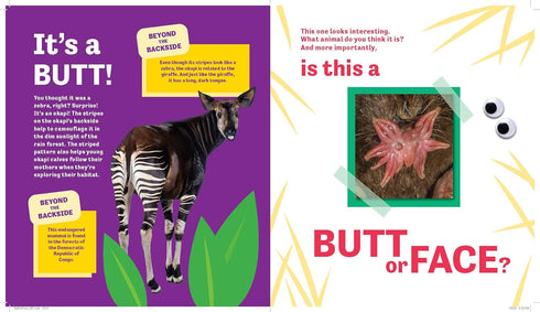 BUTT OR FACE? - LAVELLE. KARI