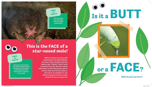 BUTT OR FACE? - LAVELLE. KARI