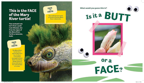 BUTT OR FACE? - LAVELLE. KARI