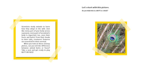 BUTT OR FACE? VOLUME 2 - LAVELLE. KARI