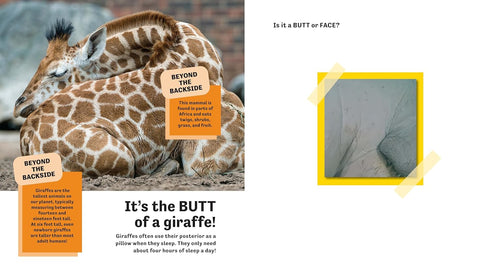 BUTT OR FACE? VOLUME 2 - LAVELLE. KARI