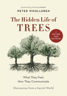 THE HIDDEN LIFE OF TREES - WOHLLEBEN. PETER