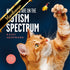 All Cats Are On The Autism Spectrum: An Affirming Introduction... by Hoopmann. K
