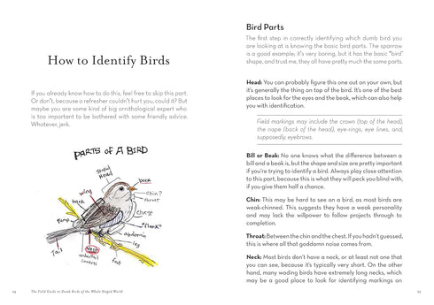 THE FIELD GUIDE TO DUMB BIRDS OF THE WHOLE STUPID WORLD - KRACHT. MATT