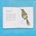 THE FIELD GUIDE TO DUMB BIRDS OF THE WHOLE STUPID WORLD - KRACHT. MATT