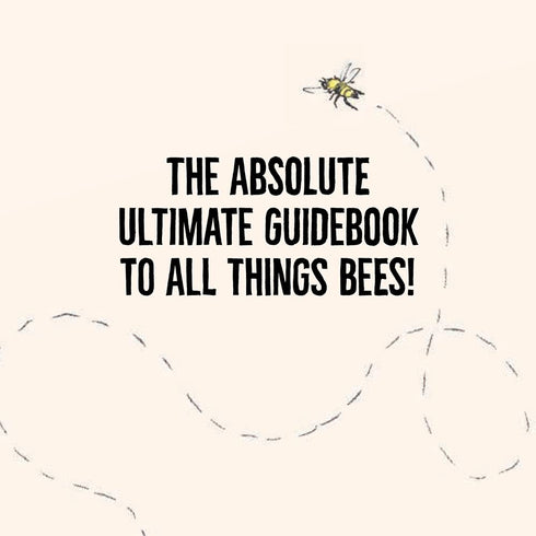 OMFG, BEES!: BEES ARE SO AMAZING AND YOU'RE ABOUT TO FIND OUT WHY - KRACHT. MATT