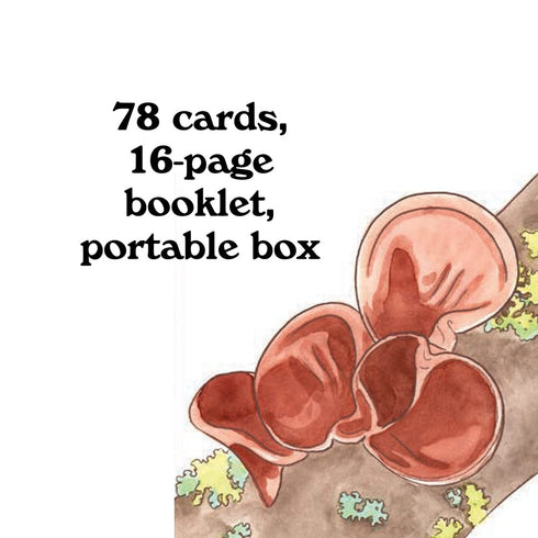 MUSHROOM SPOTTER'S DECK - KOTT. MEGAN LYNN