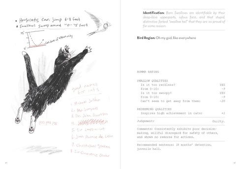 A DUMB BIRDS FIELD GUIDE TO THE WORST BIRDS EVER - KRACHT. MATT