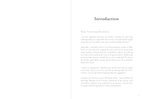 A DUMB BIRDS FIELD GUIDE TO THE WORST BIRDS EVER - KRACHT. MATT