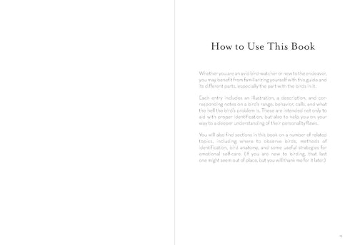 A DUMB BIRDS FIELD GUIDE TO THE WORST BIRDS EVER - KRACHT. MATT