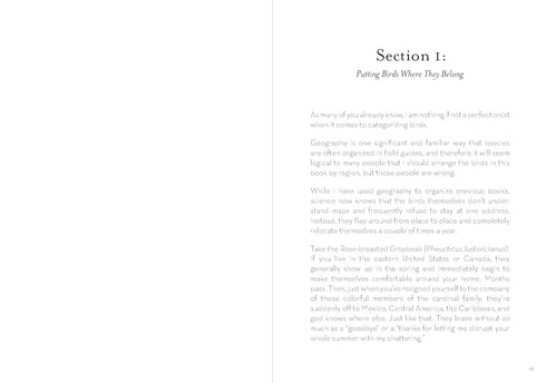 A DUMB BIRDS FIELD GUIDE TO THE WORST BIRDS EVER - KRACHT. MATT